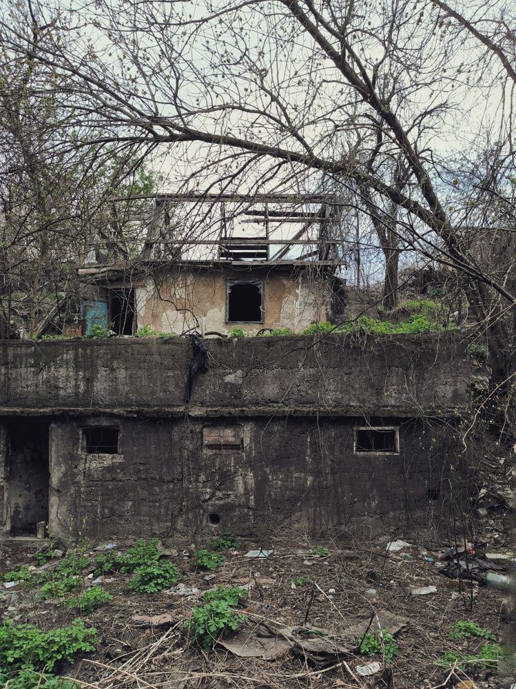 Фотография автора Екатерина Солодовник