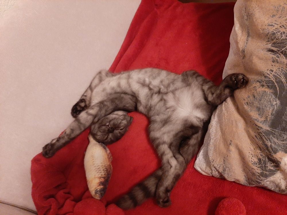 Photograph by Анастасия Никулина