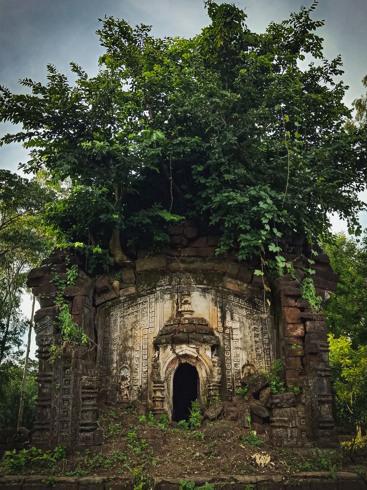 Photograph by Souvik Bhattacharyya