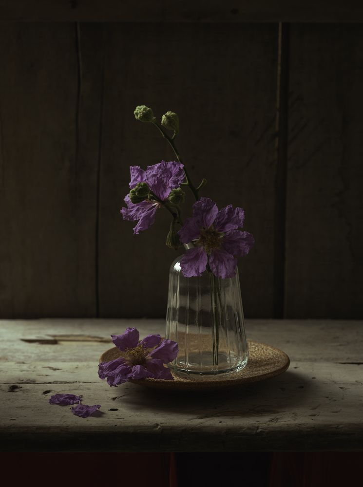 Photograph by SON NGUYEN VAN