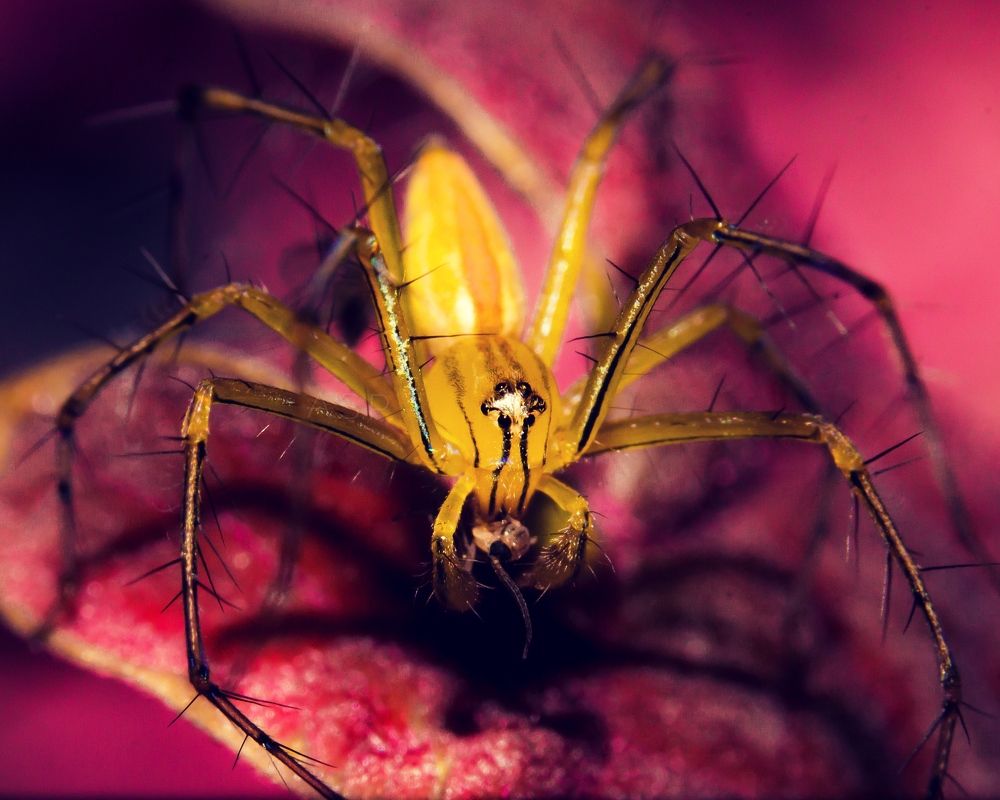 Photograph by Ashik S