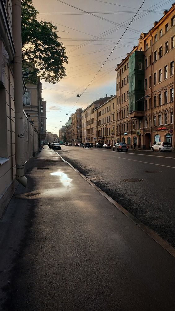 Photo #10611128