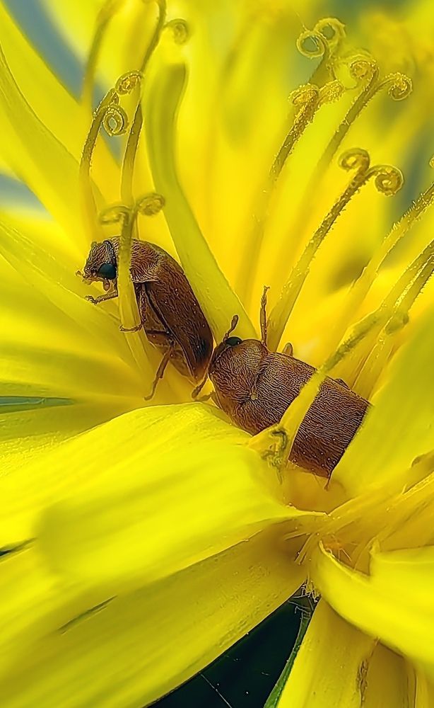 Photograph by Анна Епанчинцева