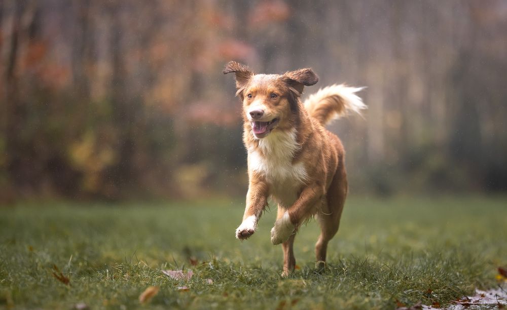 Photograph by Lieve visscher