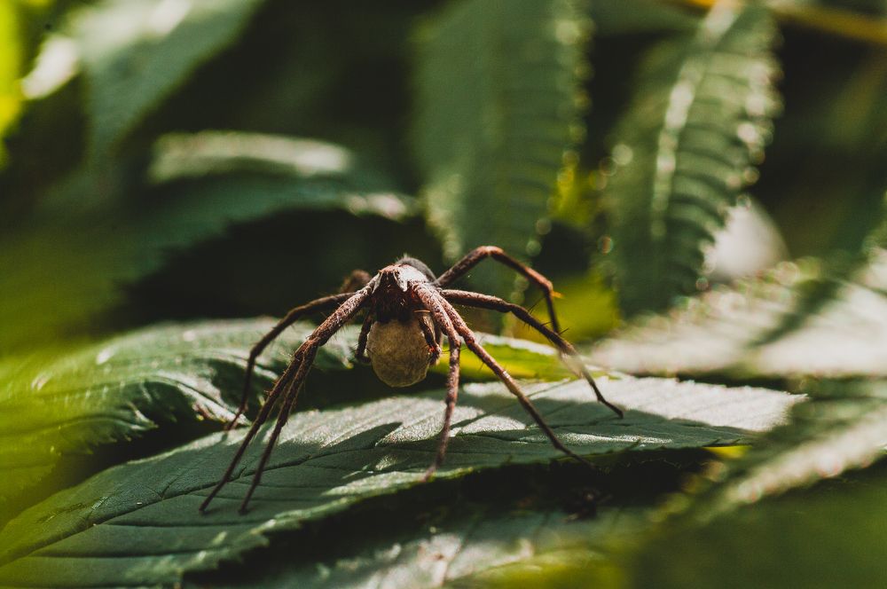 Photograph by Николай Захаров