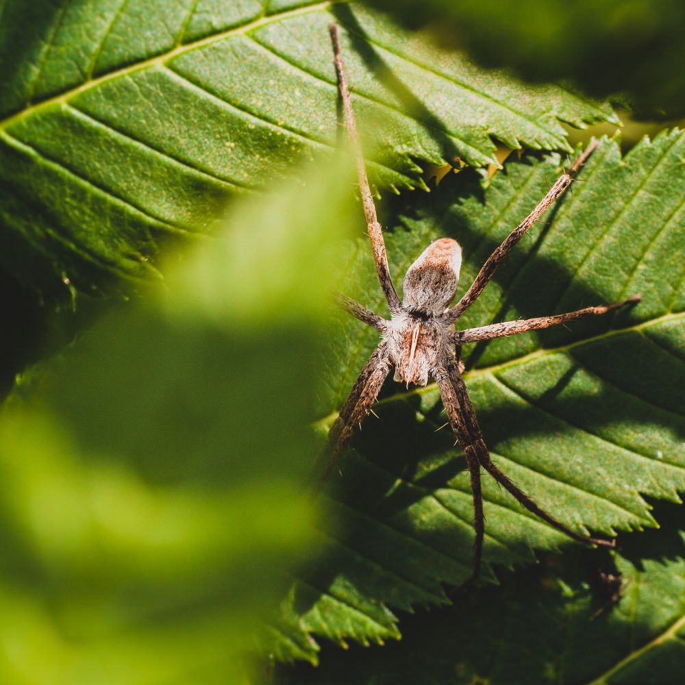 Photograph by Николай Захаров