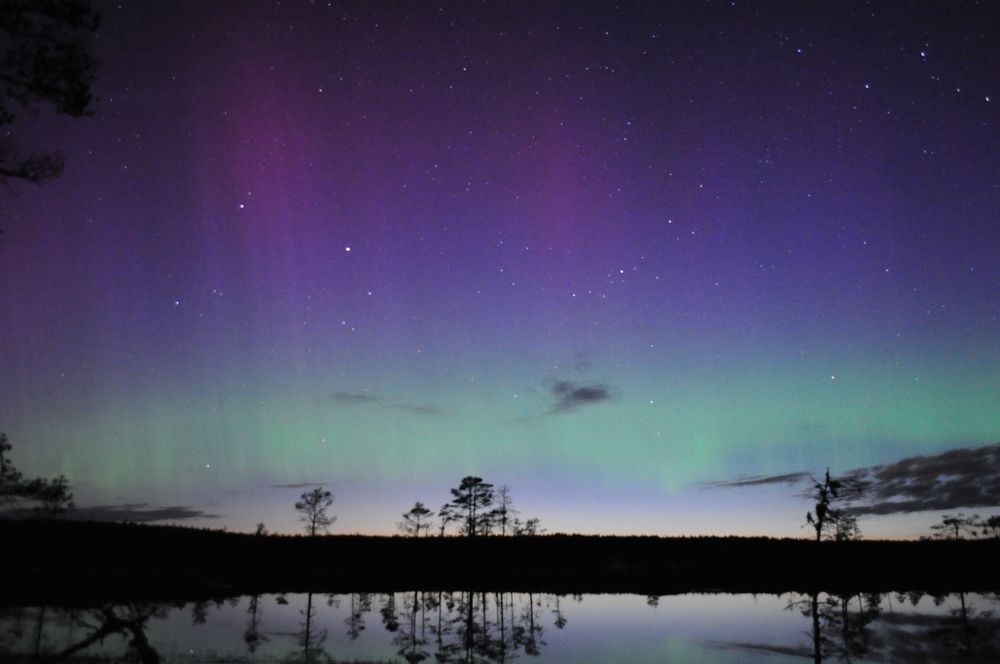 Photograph by Дмитрий Шарый