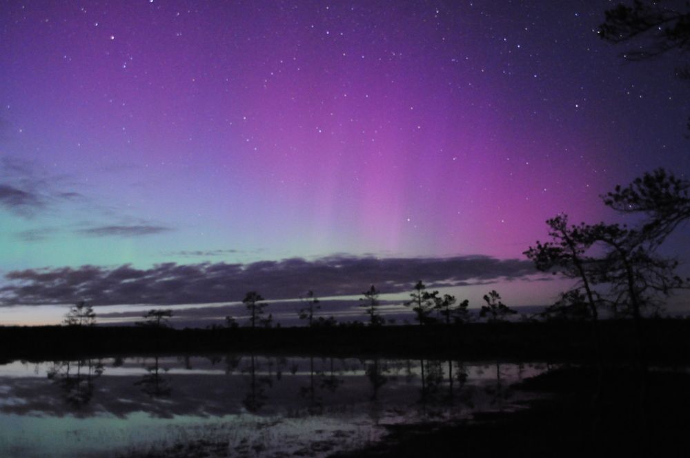 Photograph by Дмитрий Шарый