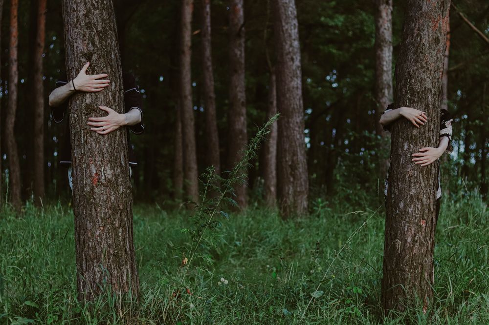 Photograph by Татьяна Банных