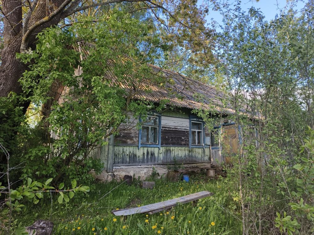 Photograph by Halina Basyanok