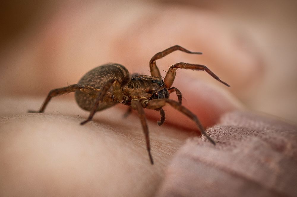 Photograph by Юлия Калугина