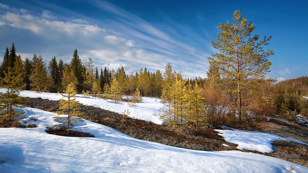 Photograph by Лисаускас Илья