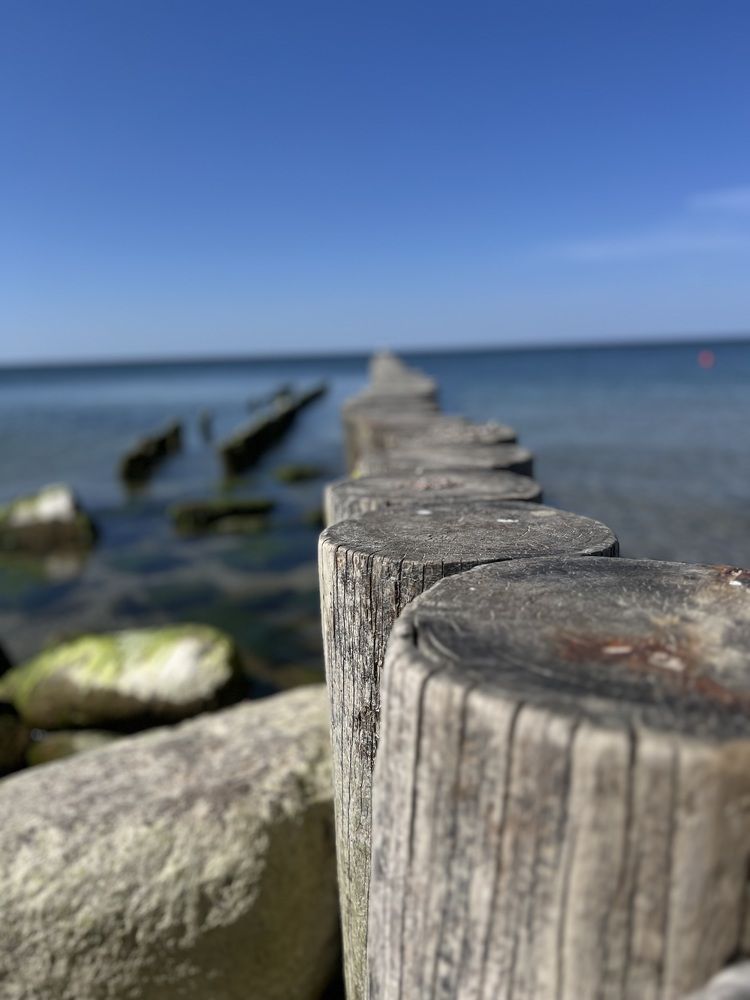 Фотография автора Komarov Svyatoslav