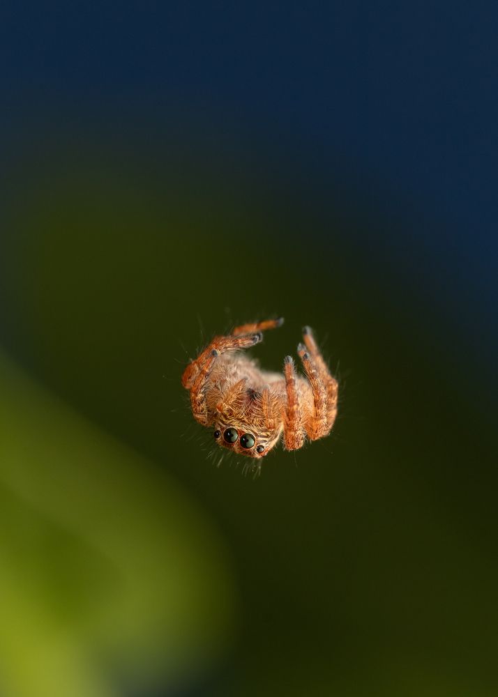 Photograph by Manjunath Acharya