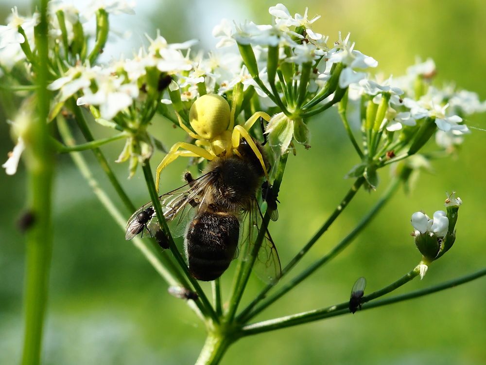 Photograph by Елена Харитонова