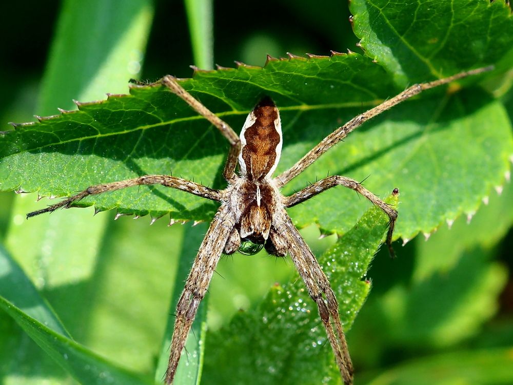 Photograph by Елена Харитонова