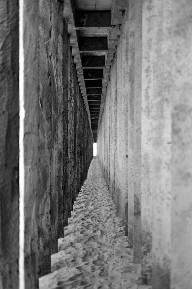 Фотография автора Бороненков Вадим