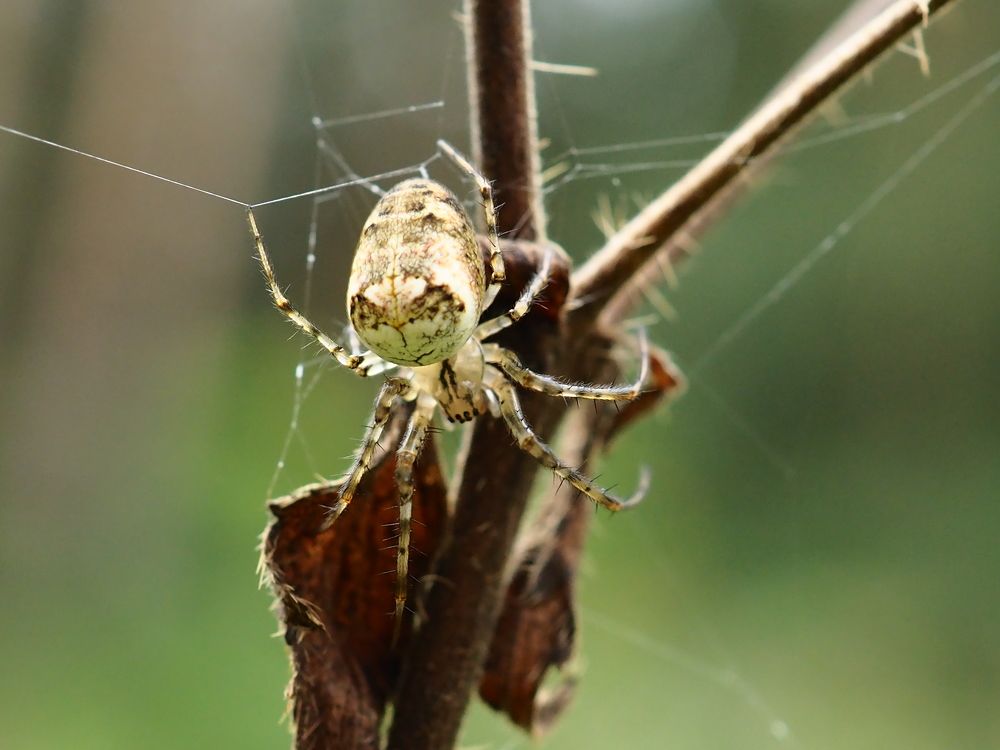 Photograph by Елена Харитонова
