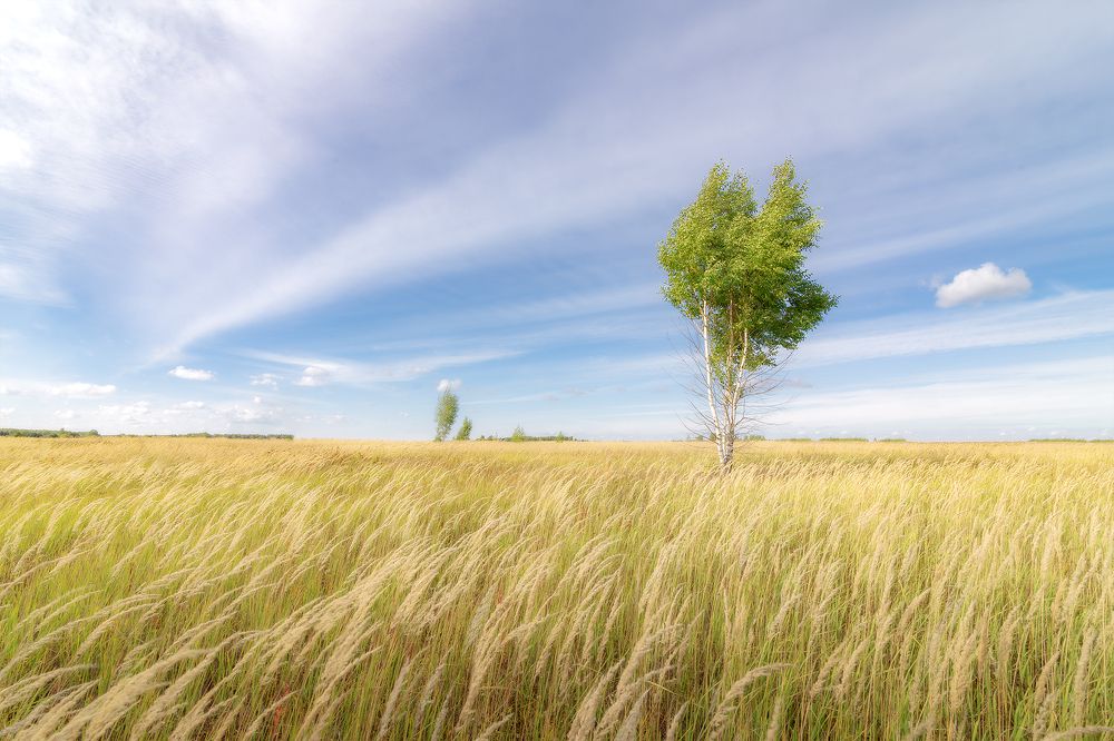 Photograph by Макаров Роман