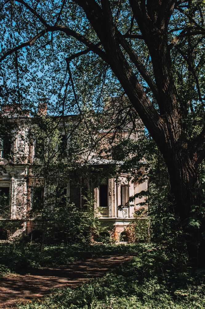 Photograph by Ольга Лобова