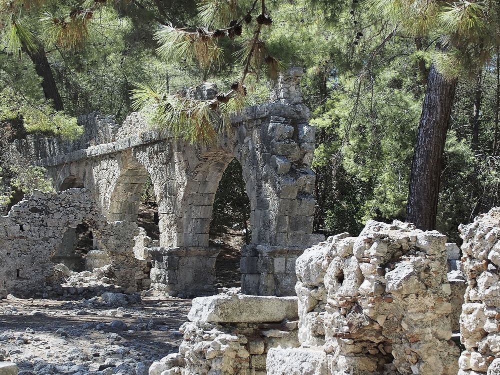 Photograph by Елена Харитонова