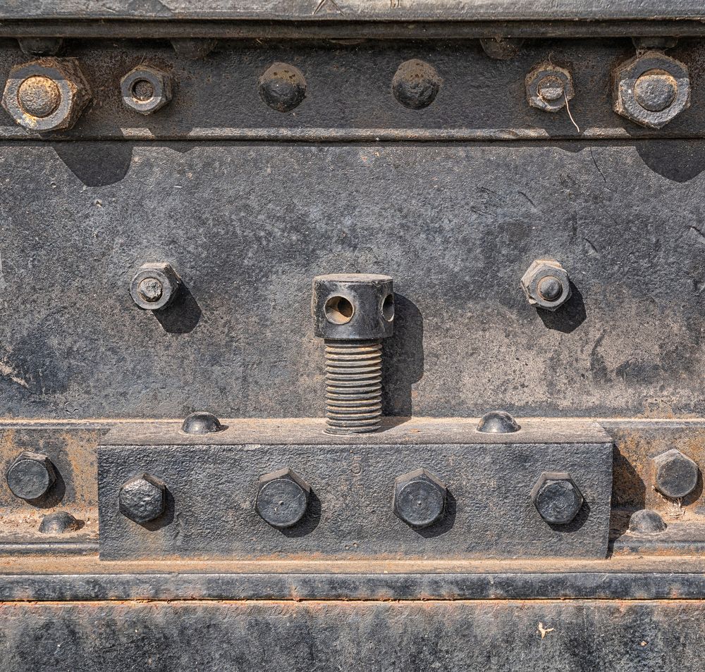 Фотография автора Carlos Gianoli