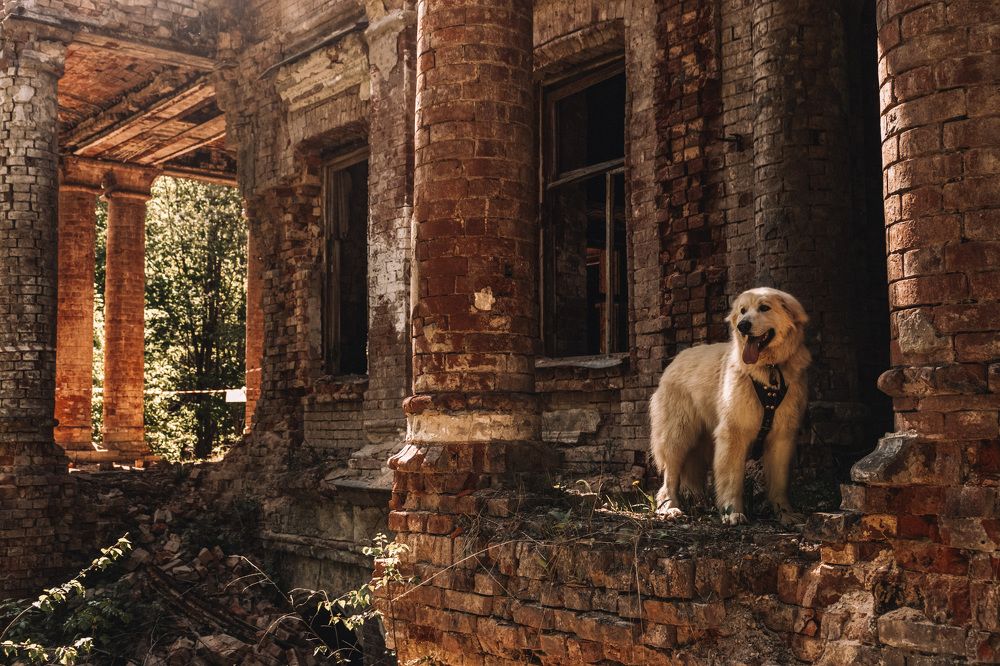 Photograph by Ольга Лобова