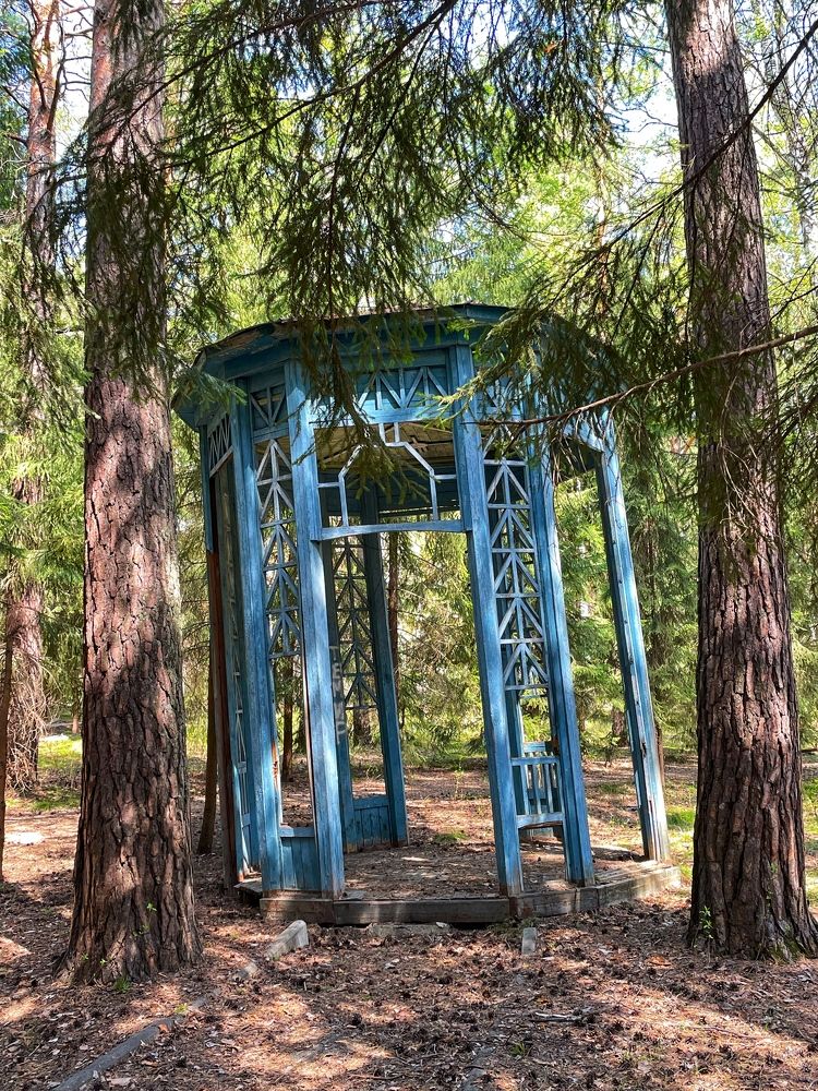 Фотография автора Nadezhda