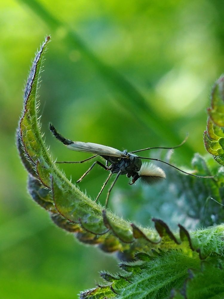 Photograph by Елена Харитонова