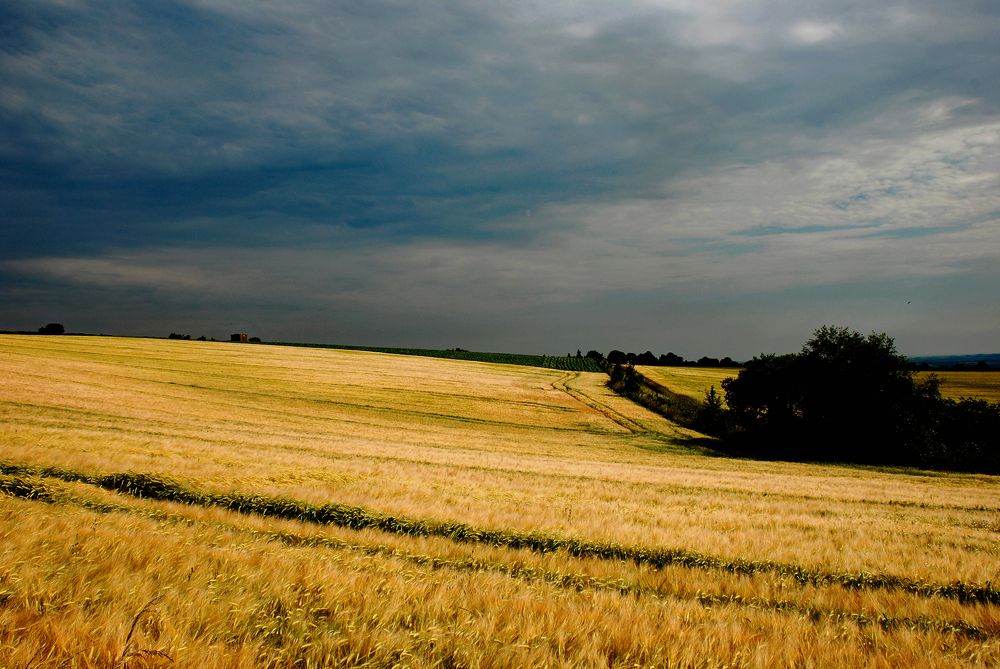 Фотография автора YANN JACOB