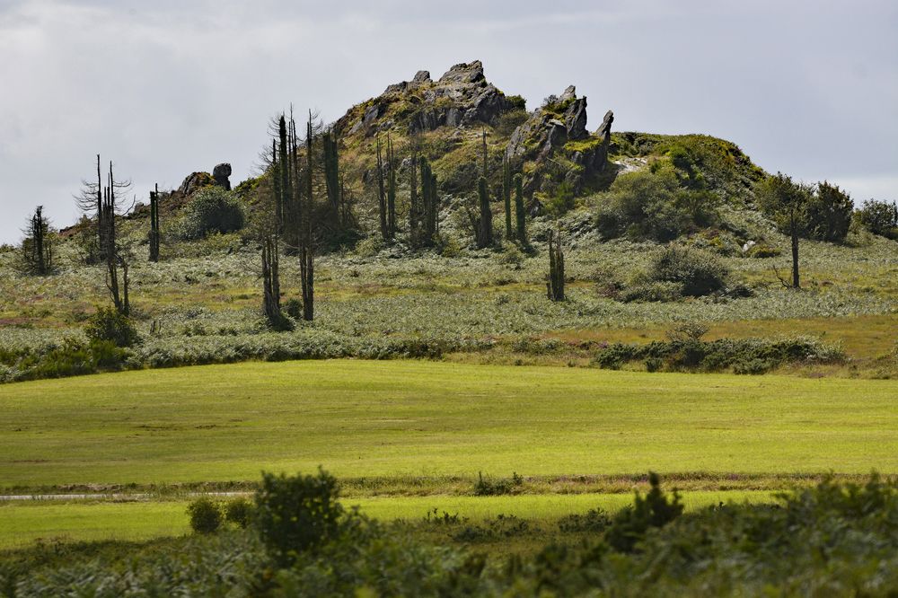 Фотография автора YANN JACOB