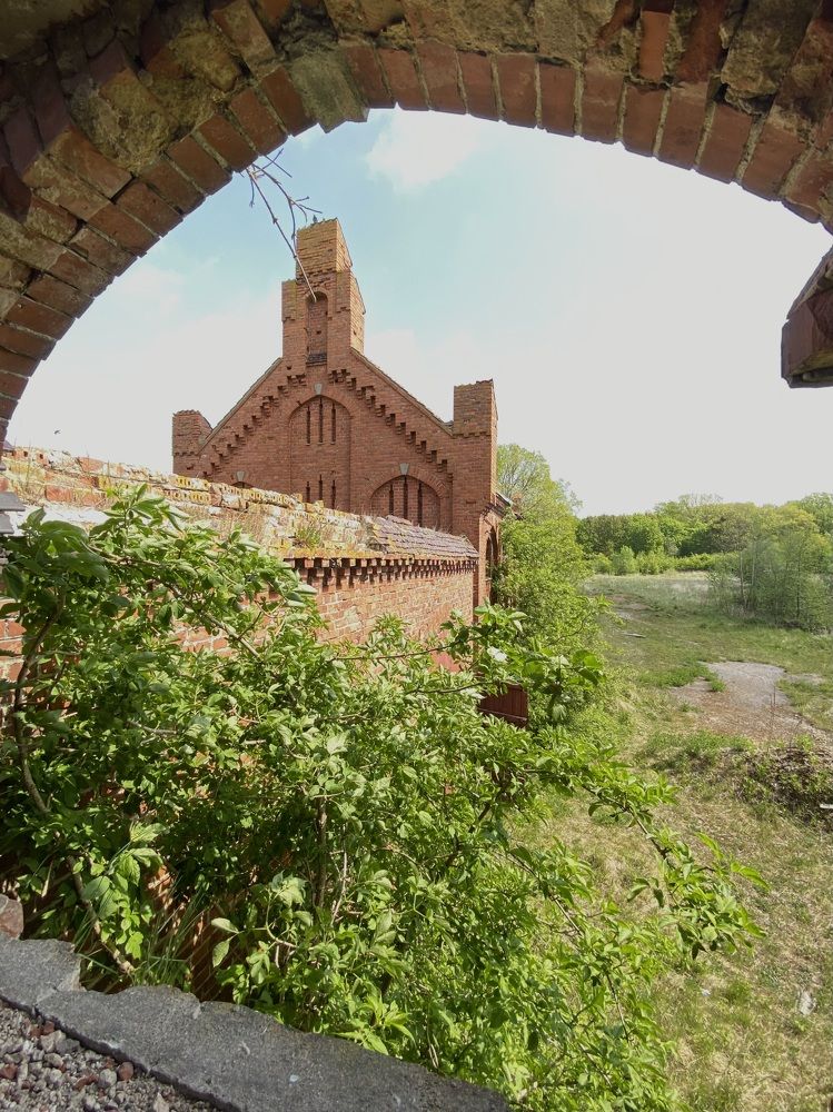 Photograph by Алиса Лукина