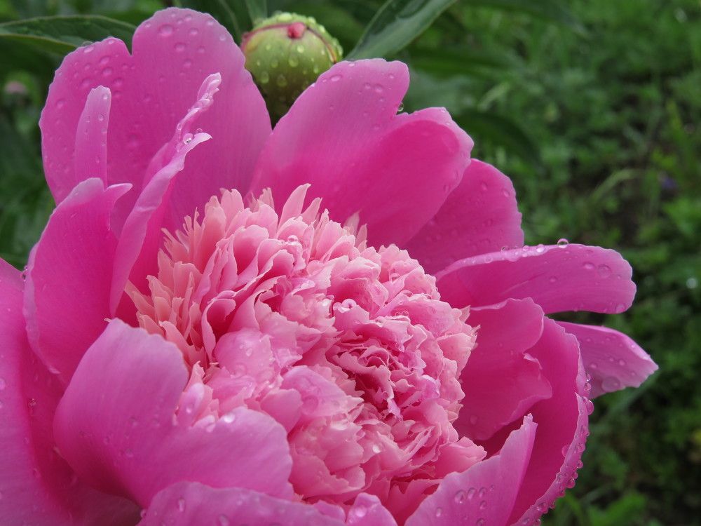 Photograph by Оксана Малахова