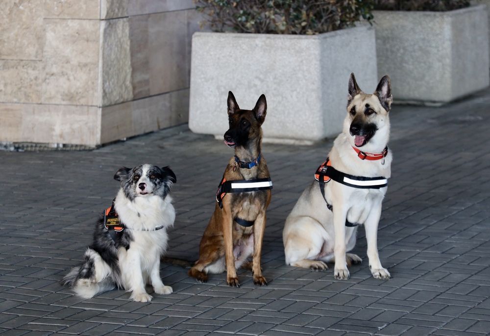 Photograph by Игорь Рязанов