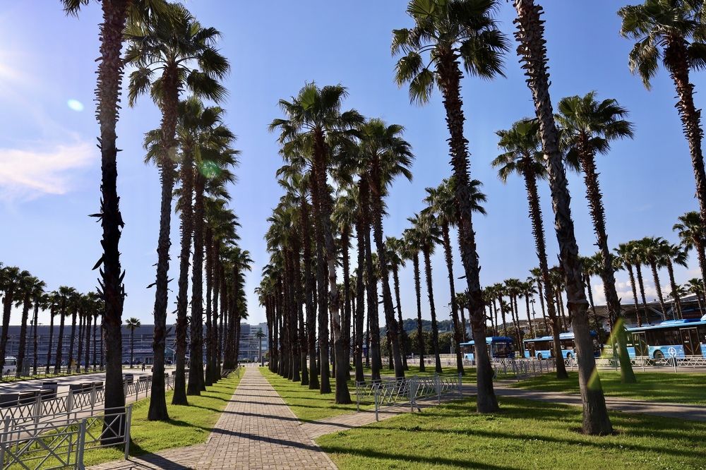 Photograph by Игорь Рязанов