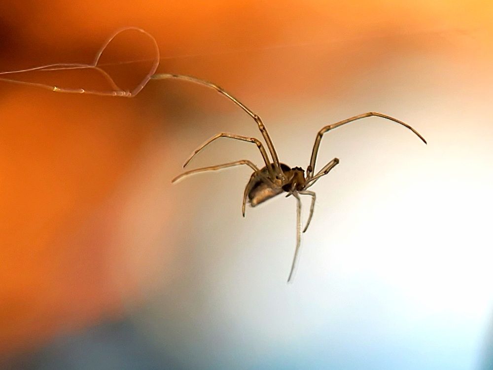 Photograph by Алексей Горин