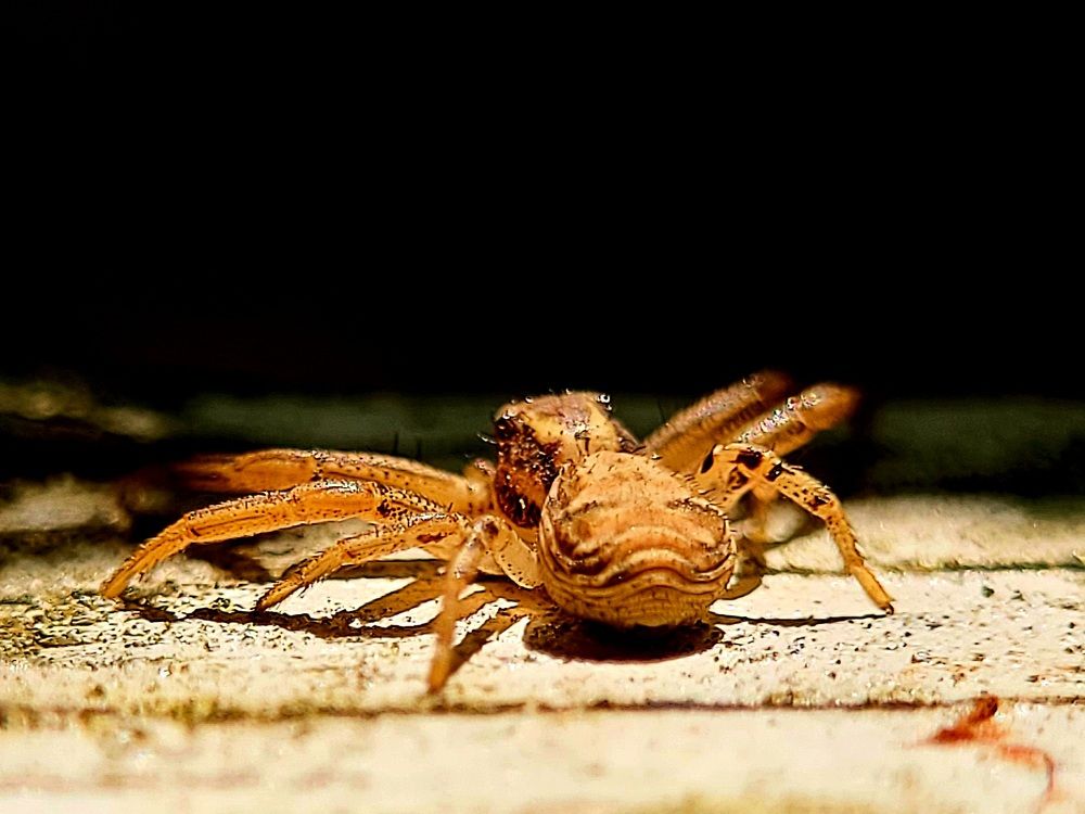 Photograph by Алексей Горин