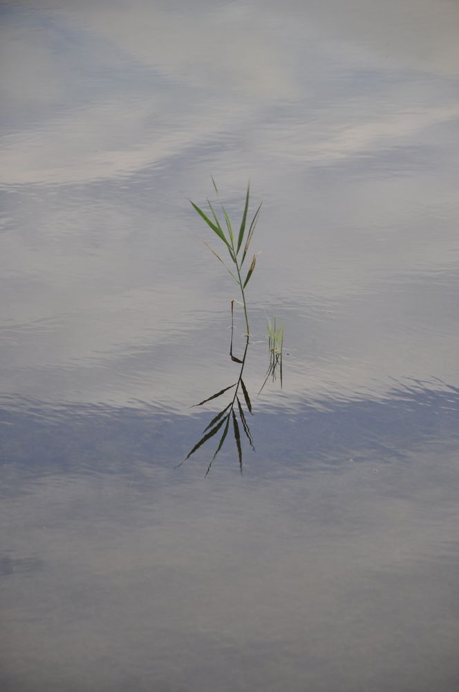 Photograph by Ольга Струкалина