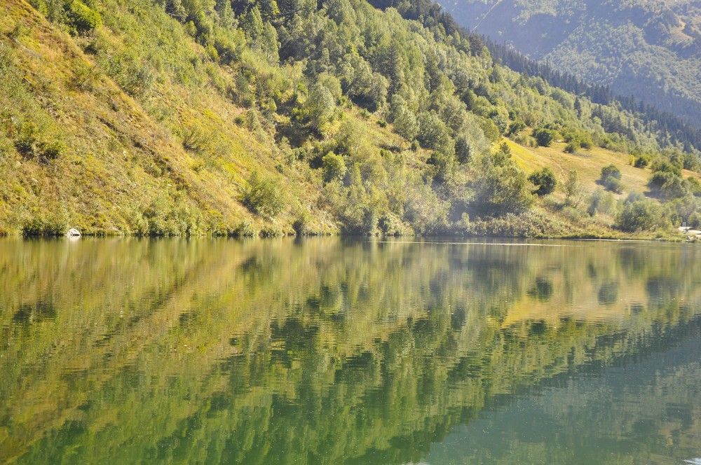 Photograph by Ольга Струкалина