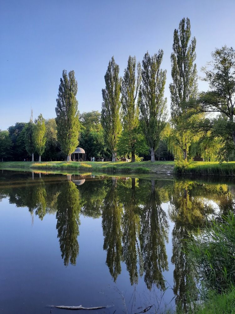 Photograph by Елена Валерьевна