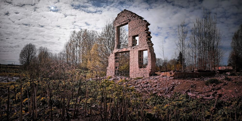 Фотография автора Анатолий Дауров