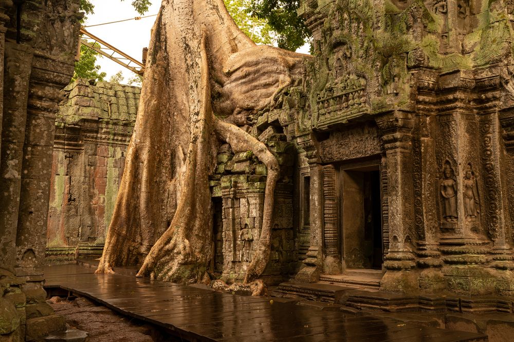 Photograph by Jean pierre