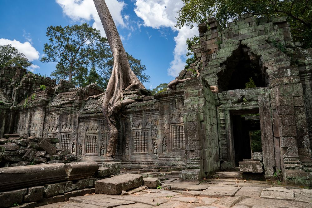 Photograph by Jean pierre