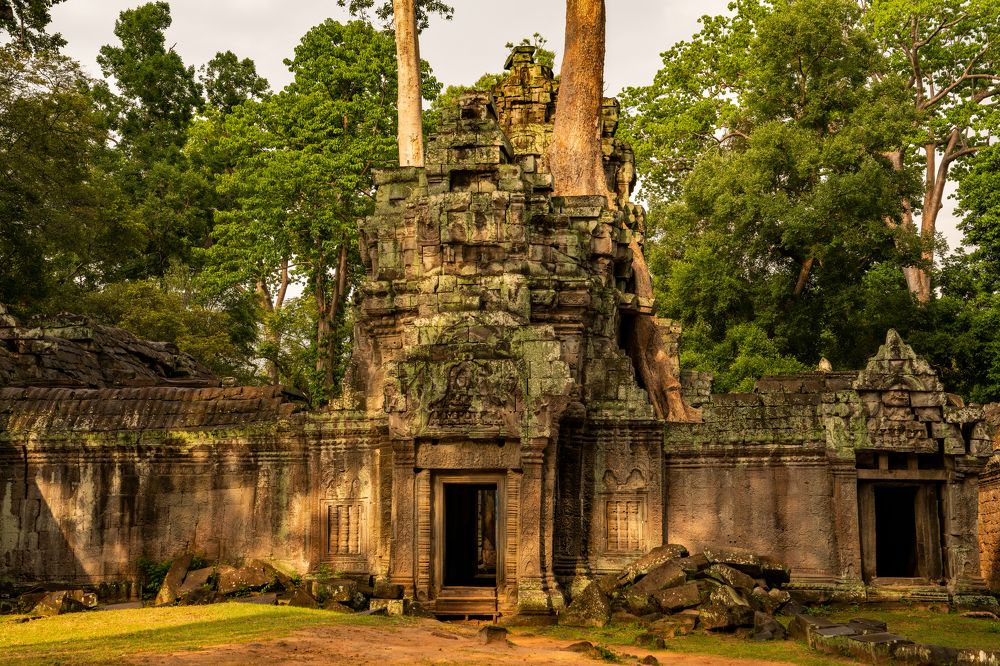 Photograph by Jean pierre