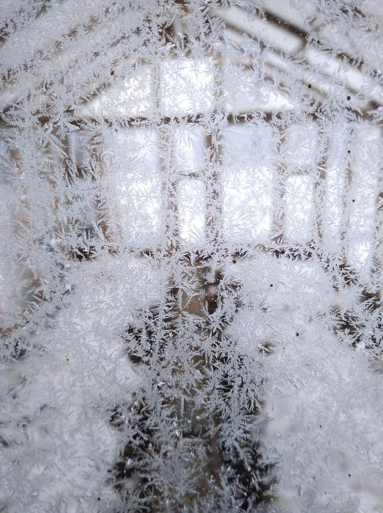 Photograph by Елена Коробченко