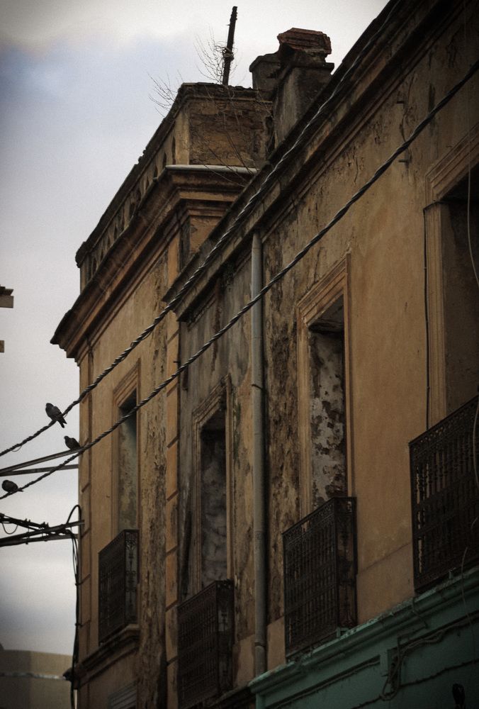 Photograph by Mansouri Ferial