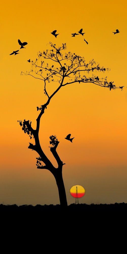 Photograph by MD Fahad Mollik