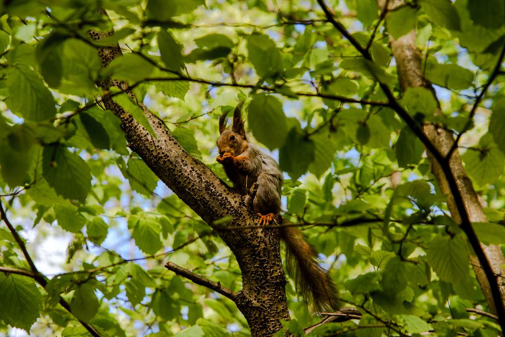 Photograph by YURIY TSARENKO