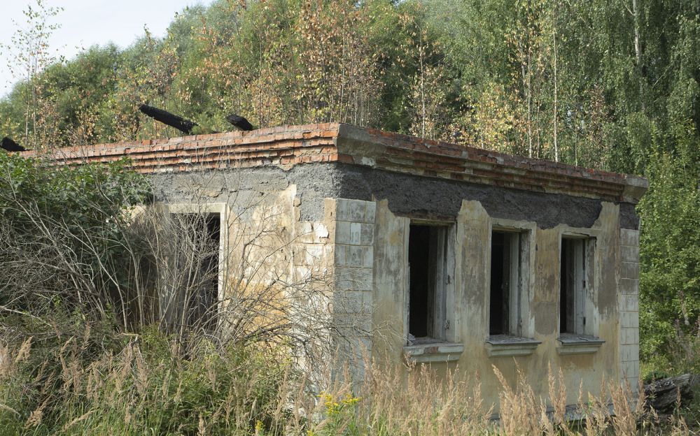 Photograph by владимир Заворотный