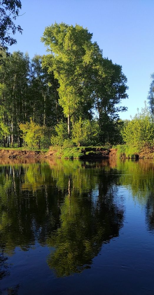 Photograph by Елена Попова